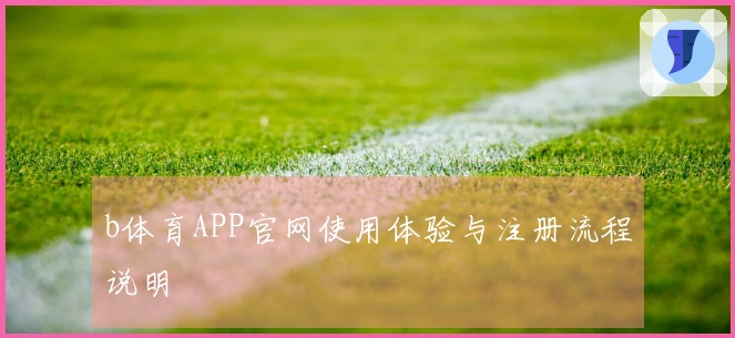 b体育APP官网使用体验与注册流程说明