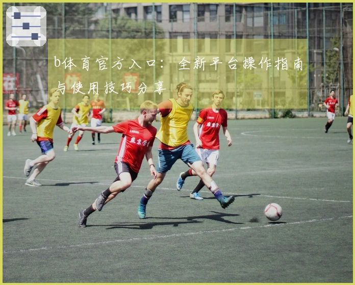 b体育官方入口：全新平台操作指南与使用技巧分享