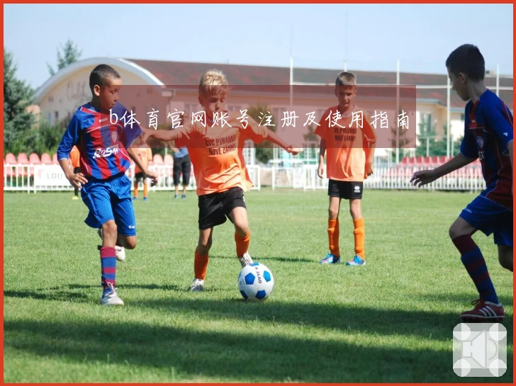 b体育官网账号注册及使用指南