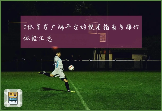 b体育客户端平台的使用指南与操作体验汇总