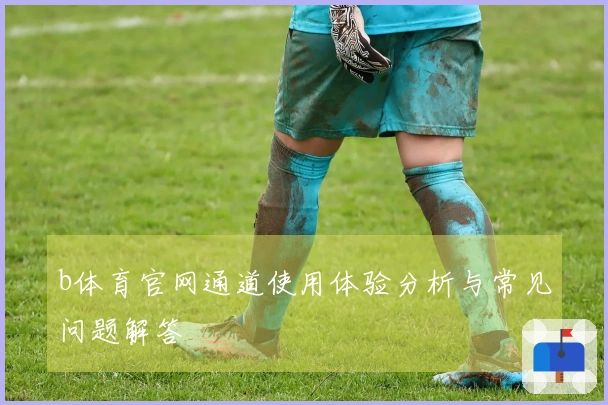 b体育官网通道使用体验分析与常见问题解答
