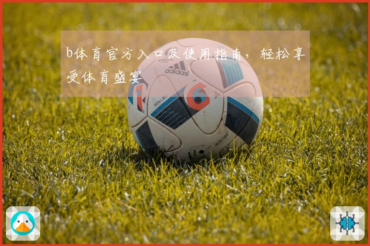 b体育官方入口及使用指南，轻松享受体育盛宴