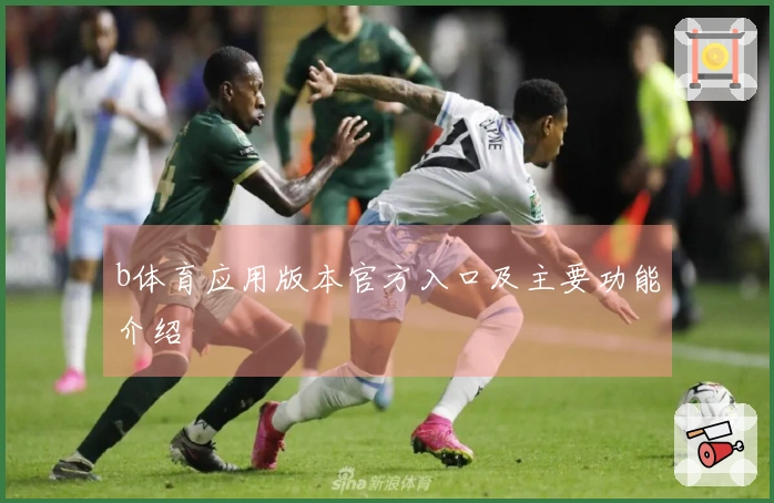 b体育应用版本官方入口及主要功能介绍