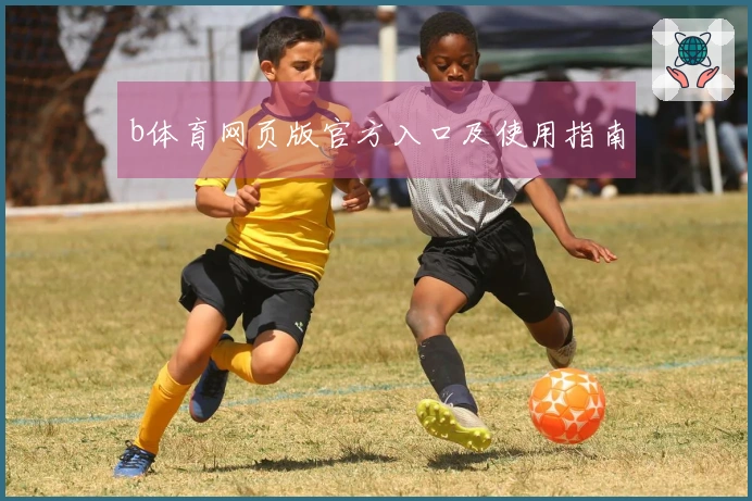 b体育网页版官方入口及使用指南