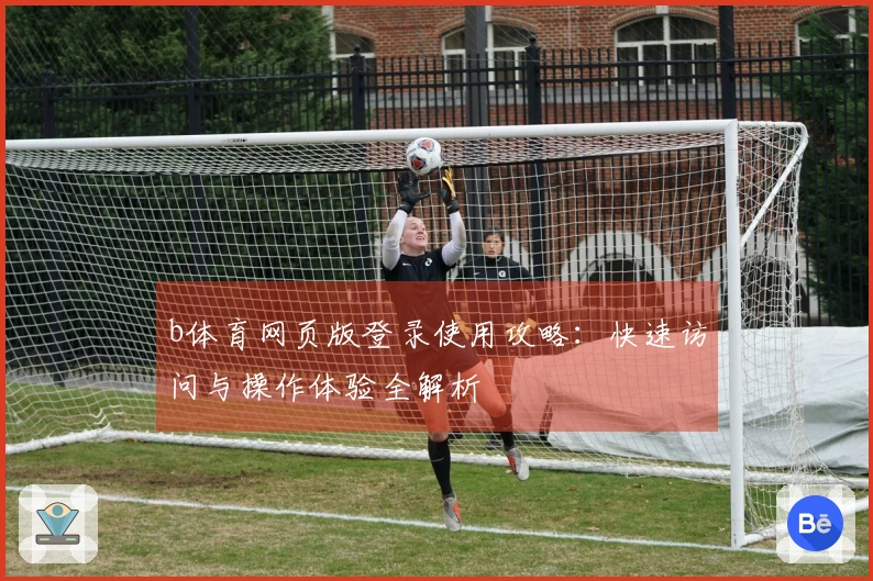 b体育网页版登录使用攻略：快速访问与操作体验全解析