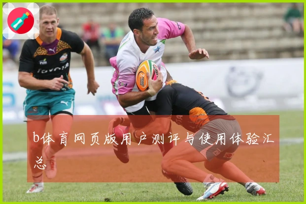b体育网页版用户测评与使用体验汇总