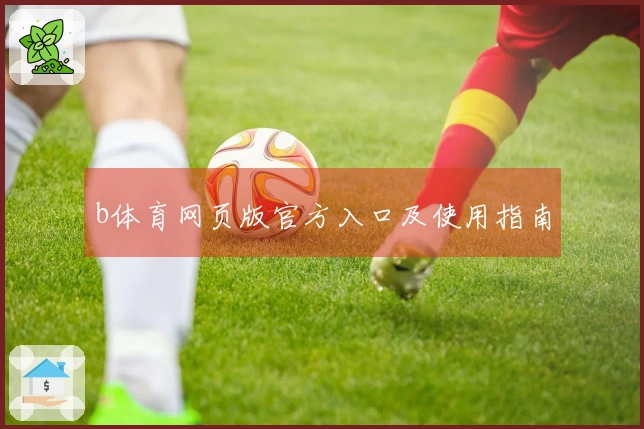 b体育网页版官方入口及使用指南