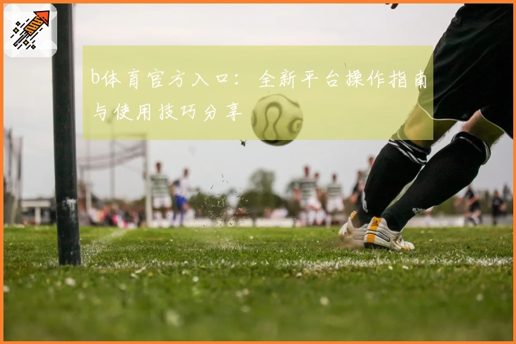 b体育官方入口：全新平台操作指南与使用技巧分享