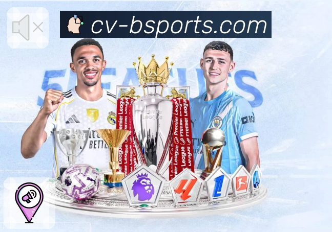 b体育APP首页：全新界面体验与核心功能一览